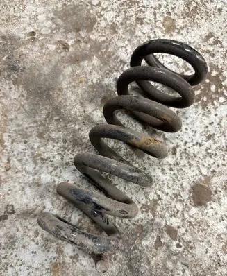 Rear coil spring