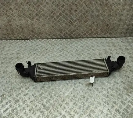 Mercedes-Benz E C207 W207 Intercooler radiator A2045000200