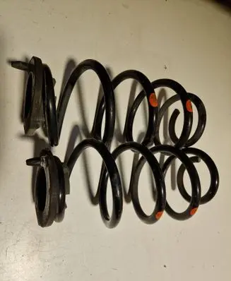 Rear coil spring