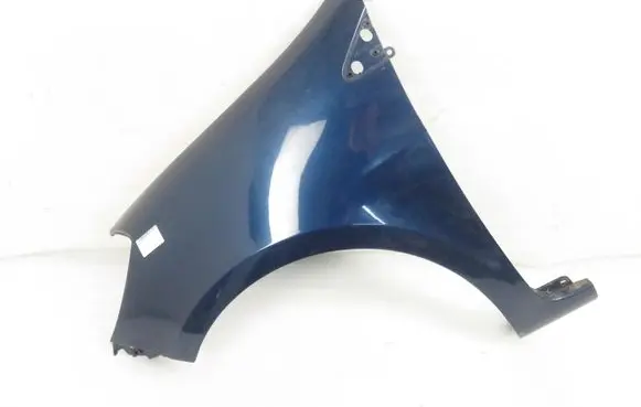 Renault Clio III Fender