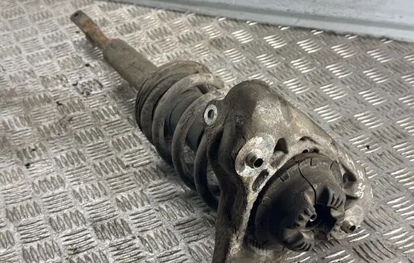 Audi A4 S4 B7 8E 8H Front shock absorber/damper