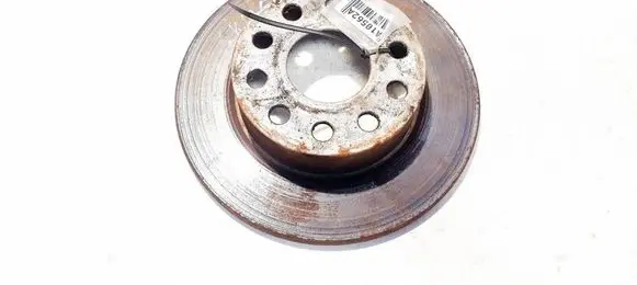 Skoda Octavia Mk2 (1Z) Rear brake disc neventiliuojamas