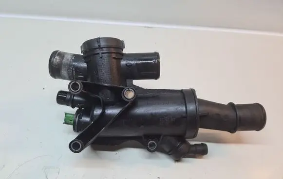 Thermostat/thermostat housing