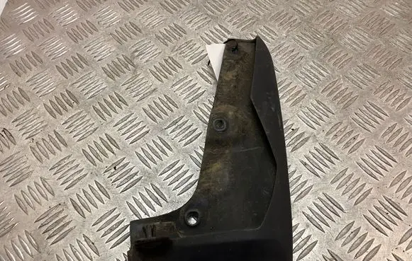 Toyota RAV 4 (XA50) Front mudguard PW3890R001