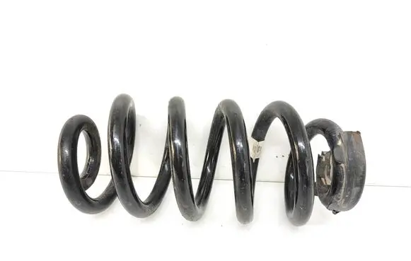 Volkswagen ID.4 Rear coil spring 1EA511103H