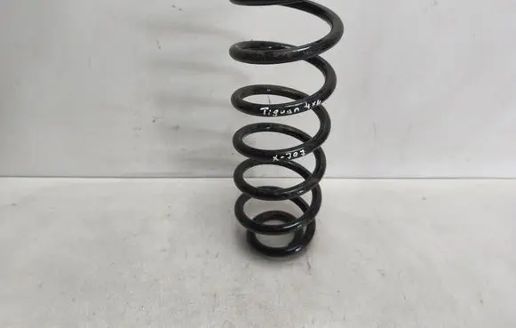 Rear coil spring