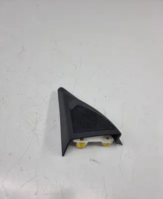 Front door speaker