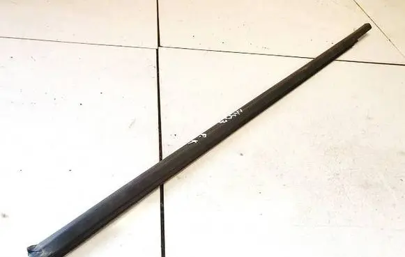 Renault Austral Front door glass trim molding 808216103R