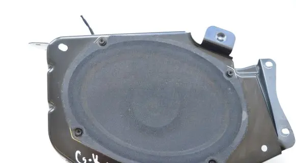 Chrysler 300 - 300C Rear door speaker P05059063AC