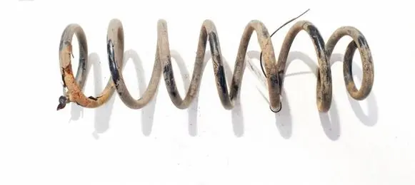 Renault Megane III Rear coil spring