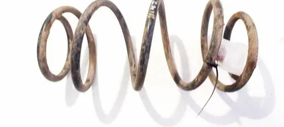 Nissan Qashqai Front coil spring 