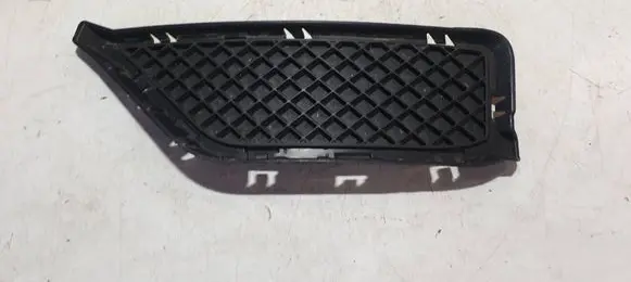 BMW X1 E84 Front bumper lower grill 7303755 16762