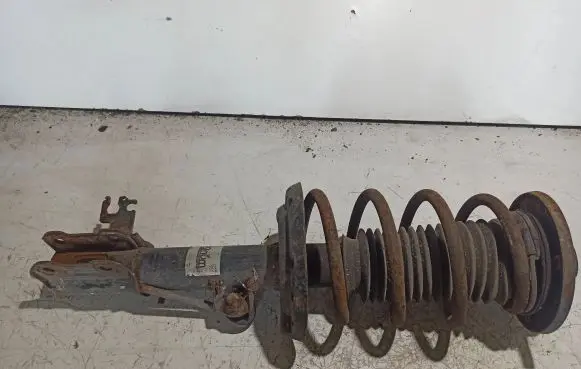 Opel Vectra C Front shock absorber with coil spring 
