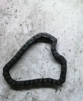 Ford Focus Timing chain (engine) 