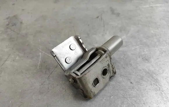 Renault Zoe Rear door lower hinge 7703633008
