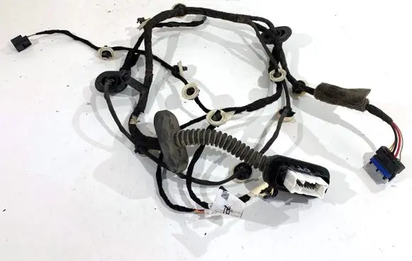 Renault Arkana Rear door wiring loom 241261344R