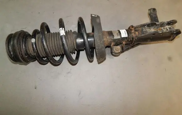 Opel Insignia A Front shock absorber with coil spring 13245967