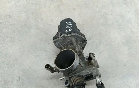 Toyota Prius (NHW20) Throttle body valve 