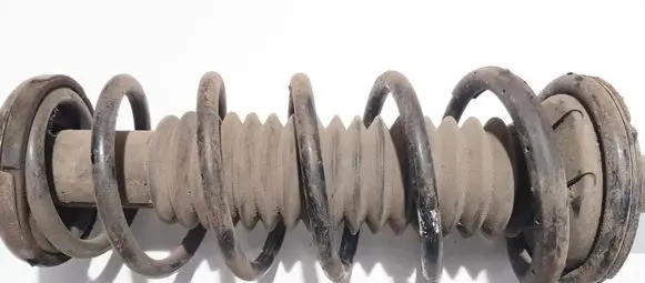 Honda Accord Rear coil spring