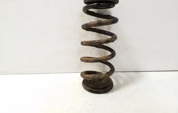 Rear coil spring