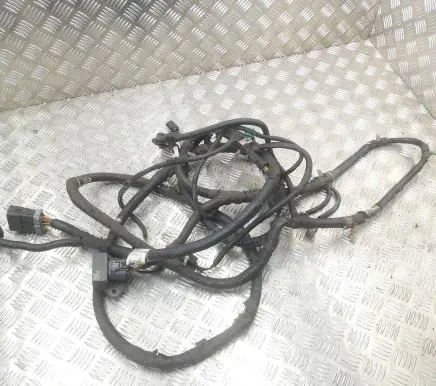 Ford F150 Other wiring loom