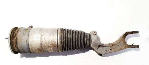 Tesla Model S Front shock absorber/damper 103060800C