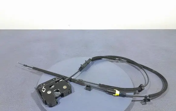 Alfa Romeo Stelvio Rear door lock 505423670