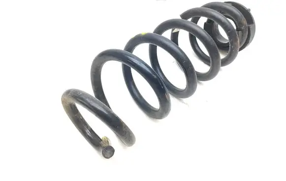 Rear coil spring