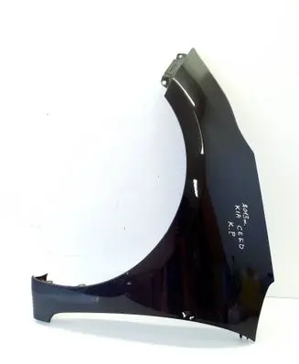 Fender