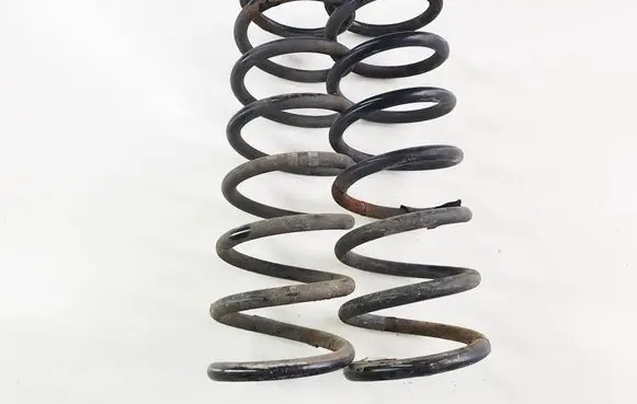 Rear coil spring