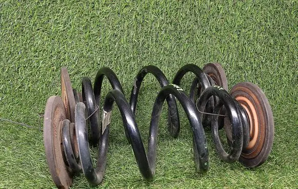 Rear coil spring