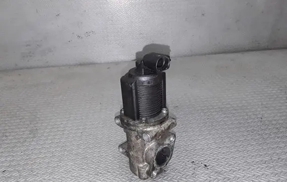 EGR valve
