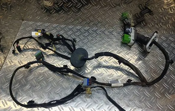 Citroen DS7 Crossback Front door wiring loom 9826015880 DPER678