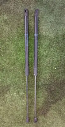 Tailgate/trunk strut/damper