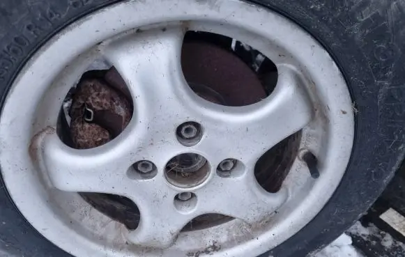 Renault Espace II R14 alloy rim 3626