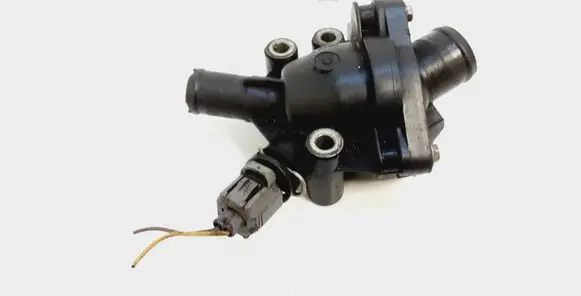 Thermostat/thermostat housing