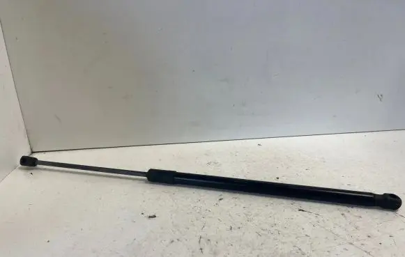 Tailgate/trunk strut/damper