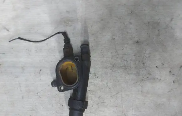 Volkswagen Sharan Thermostat housing 038121132D