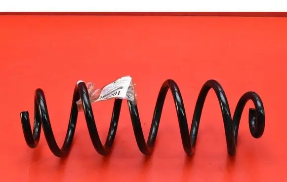 Nissan Qashqai Rear coil spring
