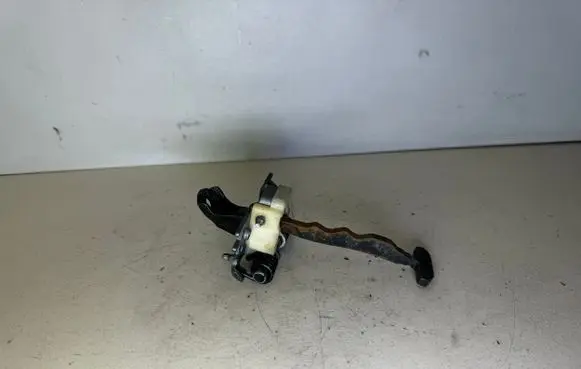 Renault Laguna III Front door check strap stopper 