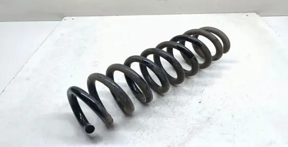 Rear coil spring