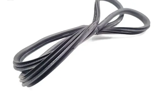 Rear door rubber seal (on body)