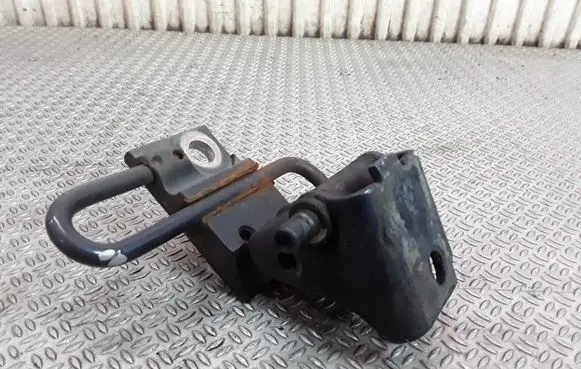 Volkswagen PASSAT B5.5 Front door lower hinge 