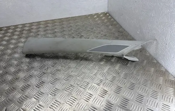 (A) pillar trim