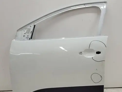 Dacia Sandero III Front door 801136242R
