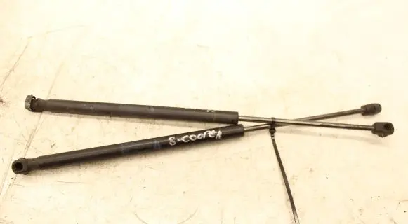 Tailgate/trunk strut/damper