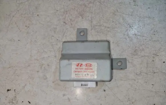 Hyundai Santa Fe Parking PDC control unit/module 957002B000
