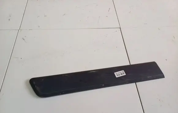 Rear door trim (molding)