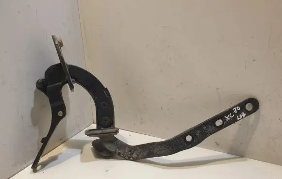 Tailgate/trunk/boot hinge