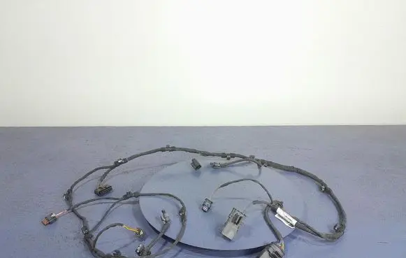 Other wiring loom
